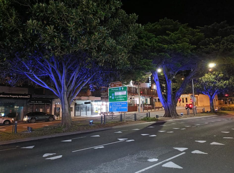 The Nepean Highway median at night, with the tree canopies lit from below.