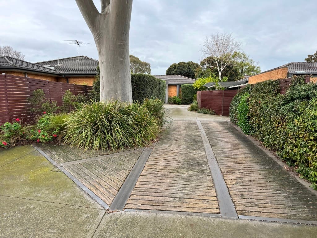 The junction of concrete, timber deck and garden bed at the base of the Spotted Gum in July 2026, with no cracking or displacement.
