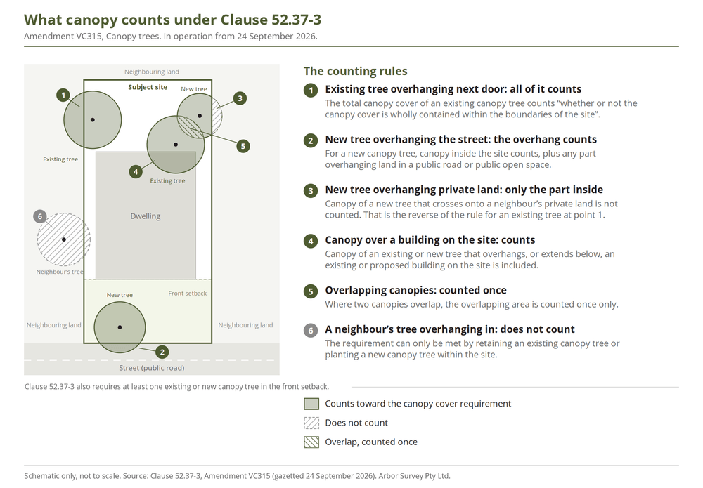 Schematic of a residential lot showing which tree canopies count toward the Clause 52.37-3 canopy cover requirement: an existing tree overhanging the neighbour counts in full, a new tree overhanging the street counts, a new tree overhanging private land counts only inside the site, canopy over a building counts, overlaps are counted once, and a neighbour's tree overhanging the site does not count.