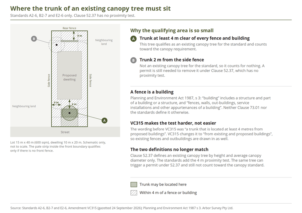 Schematic of a 15 by 40 metre lot showing the narrow area where the trunk of an existing canopy tree can sit at least 4 metres from every fence and from the proposed dwelling. A tree 2 metres from the side fence does not qualify for the standard but still needs a permit under Clause 52.37.
